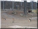 G1201-54_0346.jpg