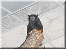 Z1201-04_0126.jpg